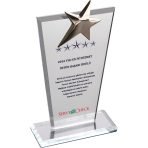 Yıldız Temalı Özel Kesim Kristal Ödül | Füme ve Şeffaf Renk Seçenekli Kurumsal Başarı Plaketi - Görsel 2