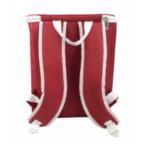 Yalıtımlı Termal Soğutucu Çanta - Görsel 2