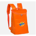 Yalıtımlı Termal Soğutucu Çanta - Görsel 4