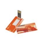 Fonksiyonel Kart USB Bellek